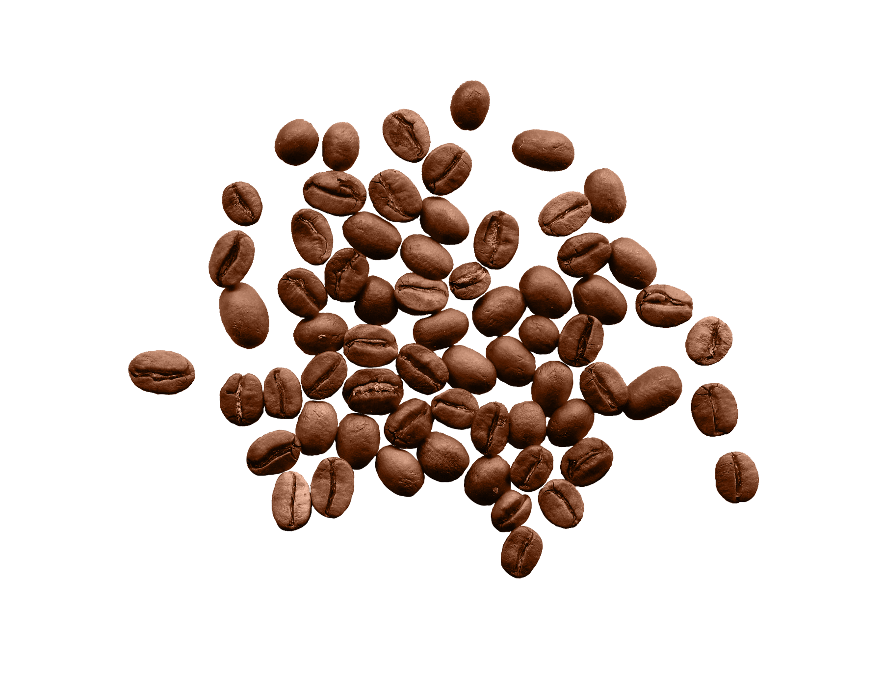 Engel&rsquo;s Coffee par Mars Rouge